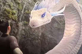 令人害怕的蛇，为什么是十二生肖之一？图片