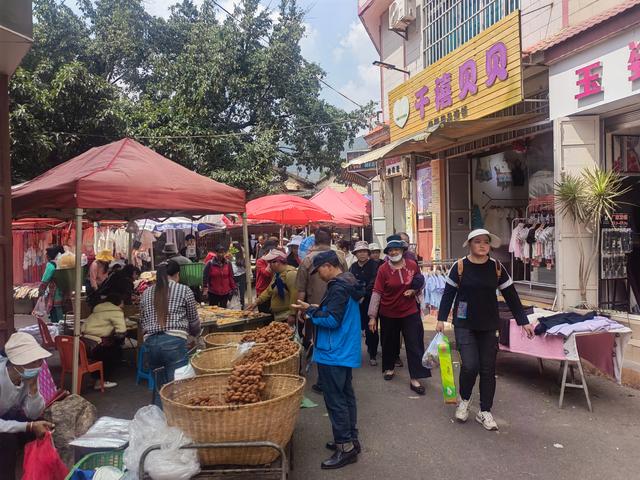 去赶大理凤仪街