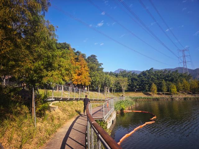 从丽康路穿荔园溪谷至西丽湖绿道骑行随拍
