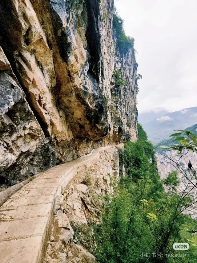 8月去正好！央媒点赞最美避暑地！小众秘境美如瑞士