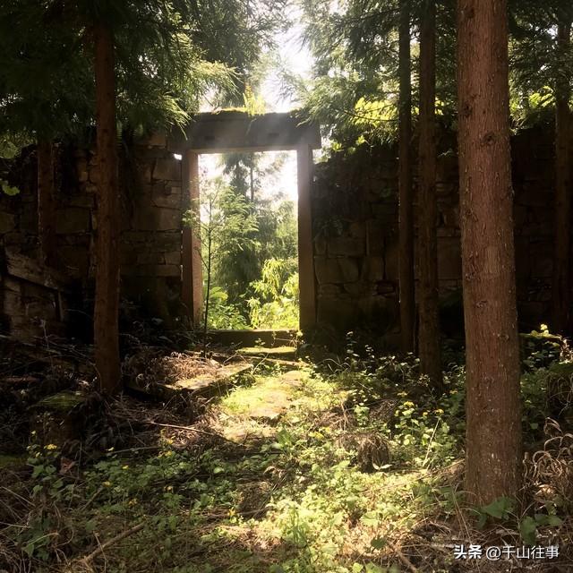 枣庄深山炸出大发现！后观森林公园，专家解读颠覆99%人的认知！