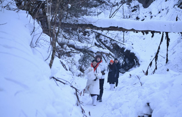 啥是吉林冰雪旅游？ 文旅精品+自然奇观+文化美食+……