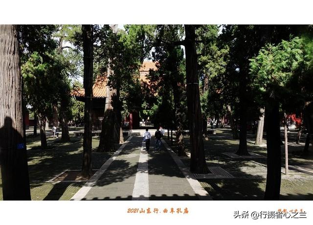 山东行游影记（208）—曲阜孔庙（三）