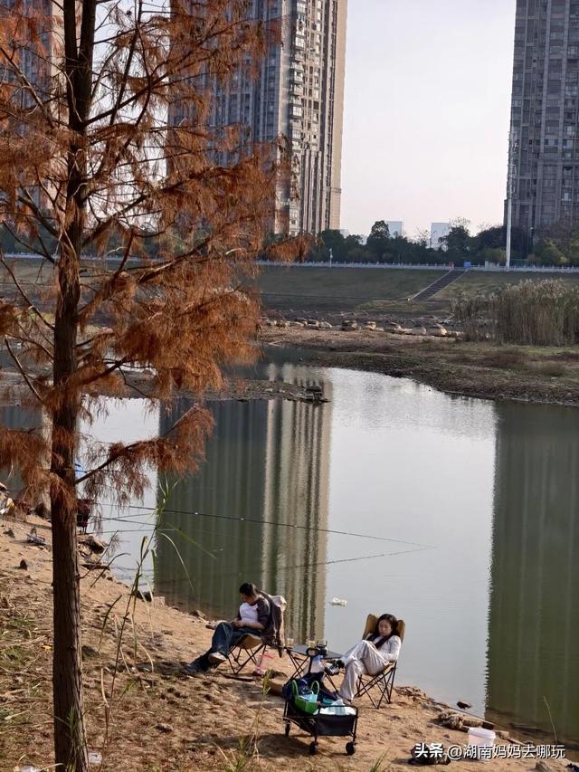 公交直达冬日限定“小东非”，带娃解锁长沙safari隐藏玩法！