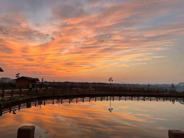 游在鹰潭｜这座城市秋日杀疯了！4重甜感暴击，谁来谁上头！「全球学子嘉游赣 奇绝鹰潭逍遥游」