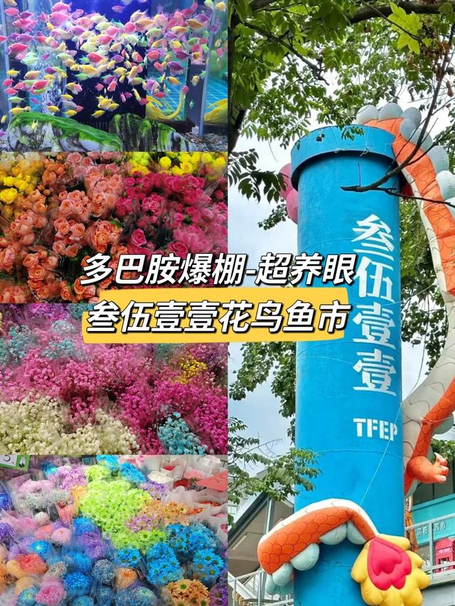 周末一日游推荐——西安6处宝藏文艺街区免费又好玩！