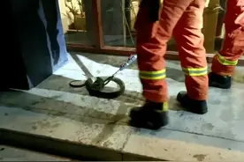 河南多地消防接到有关“抓蛇”求助 夏日高温，小心蛇出没！图片