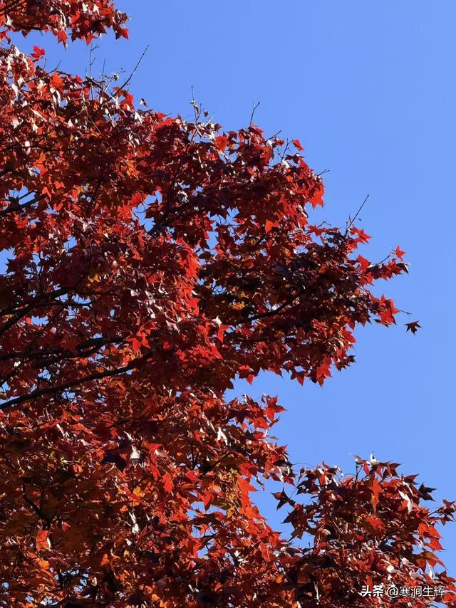 《诗经•小雅6•天保》——《诗经》札记165