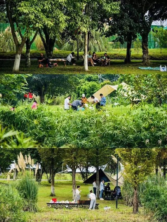 新津人的“小美满”，开启全民晒太阳模式