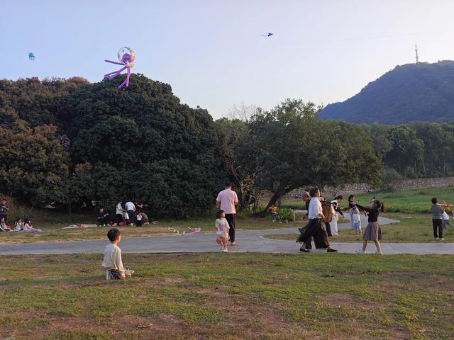 我花 700 多买了一二手「小众手机」,却学会了「放下手机」