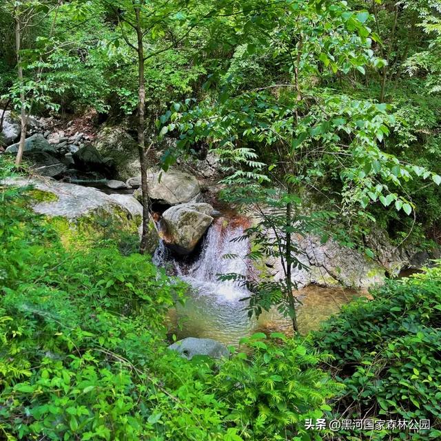 绿野仙踪+山水秘境！快来黑河抓住夏天的尾巴，奔赴一场绿意清凉之约