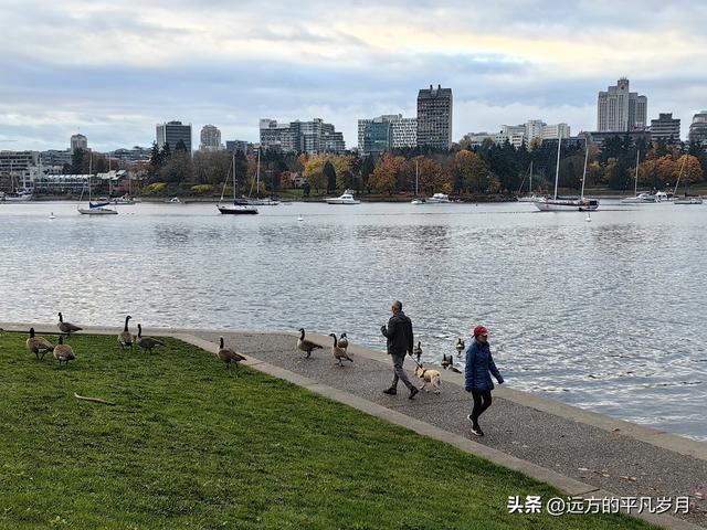 温哥华游记（六）