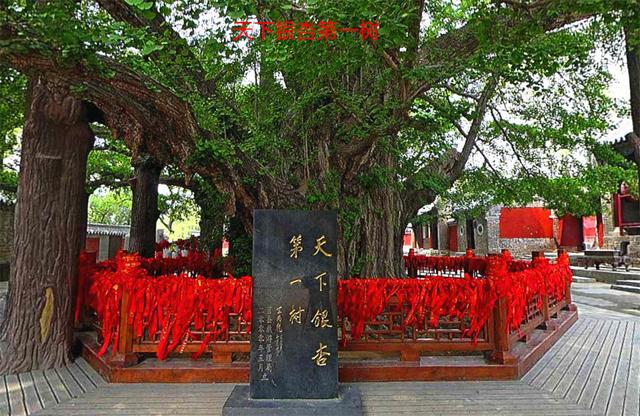 带你了解下，千年古县莒县，是个怎样的县城