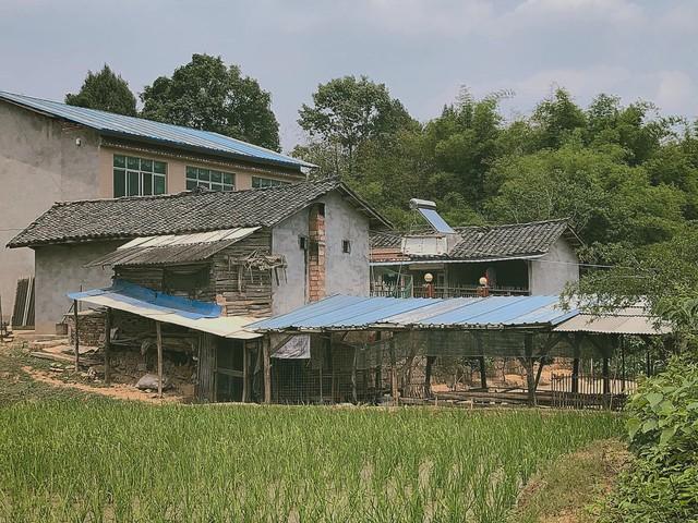 以为城市繁华更“值”？其实乡村建房隐藏的巨大潜力你意想不到！