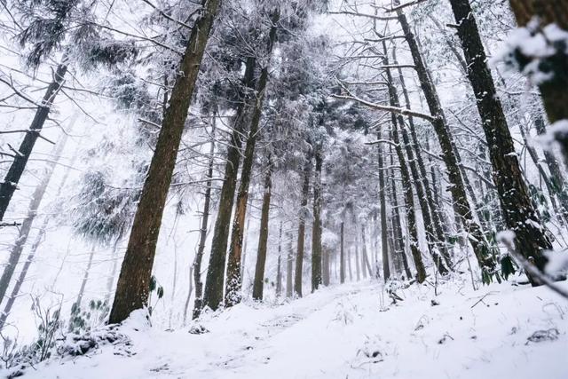 明月山惊现冰瀑雾凇，已经开始期待下雪了！