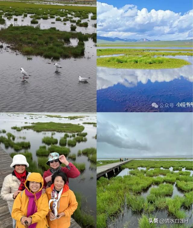 五彩甘南之旅—寻梦小西藏