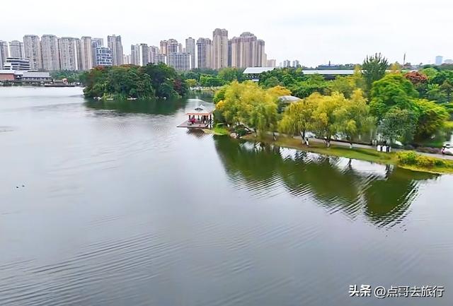 成都主城区最大人工湖，秋天超级惊艳，不要门票，地铁公交直达！