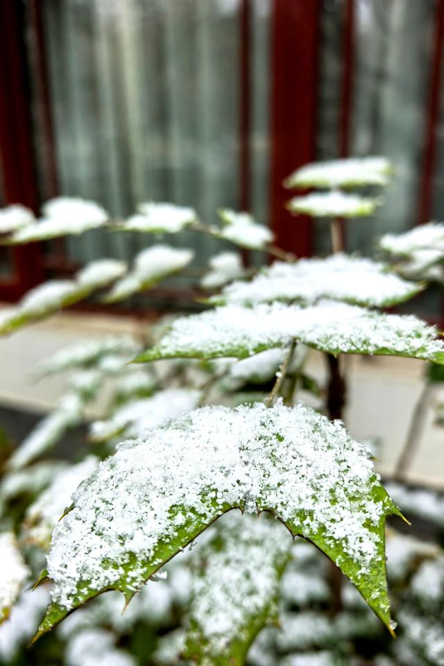 初雪滤镜下的潍坊，美得不一样~