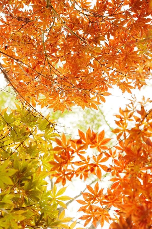 州庆，弥勒太平湖超多福利！红河人约起～