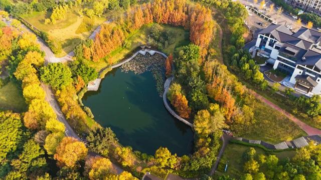 打卡心形湖！重庆这个公园美成油画