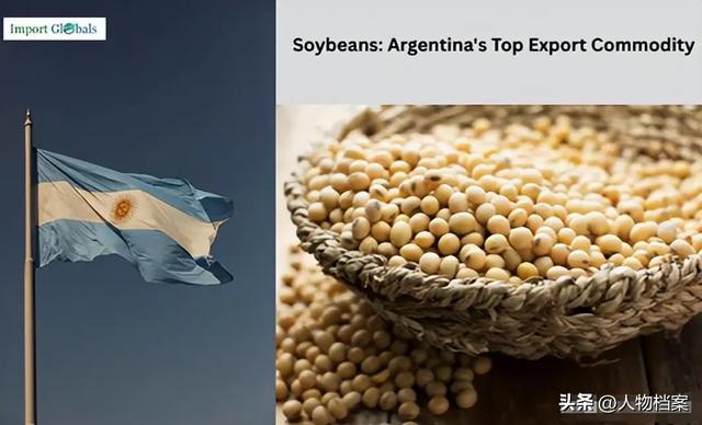 阿根廷大豆一夜变脸！中国船队怒掉头，人民币成救命稻草​
