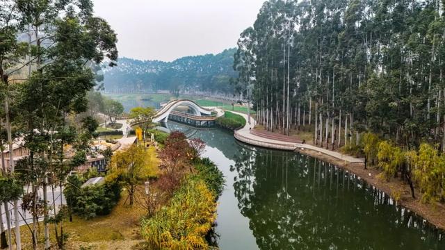 晒太阳~从从容容逛公园赏美景