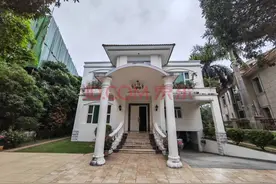 深圳一栋20年前513万买入的别墅被拍卖，拍出1.6亿天价图片