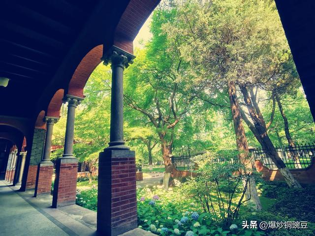 再游苏大-随便进的时候就去了一次，限流预约了却非要去看看。