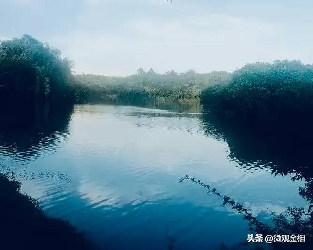 一年四季都可以去打卡的城市绿州麓湖