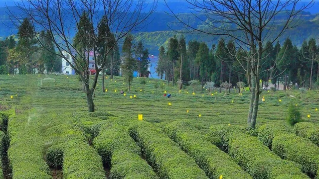 成都⇌巴中快巴仅需69元🤝冬天看雪就坐这条线！