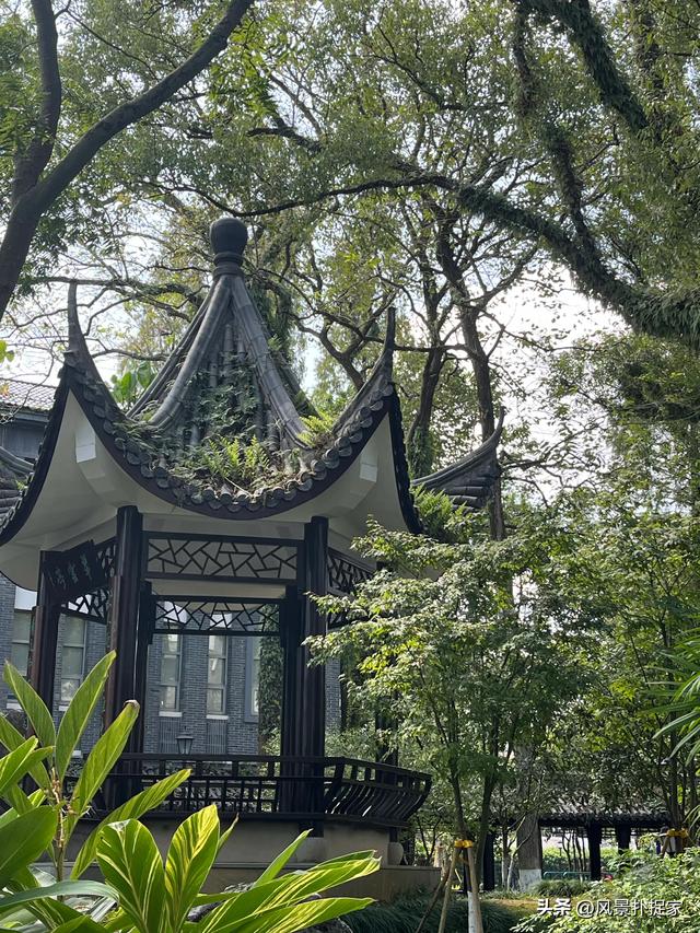 温州墨池公园，超好逛！