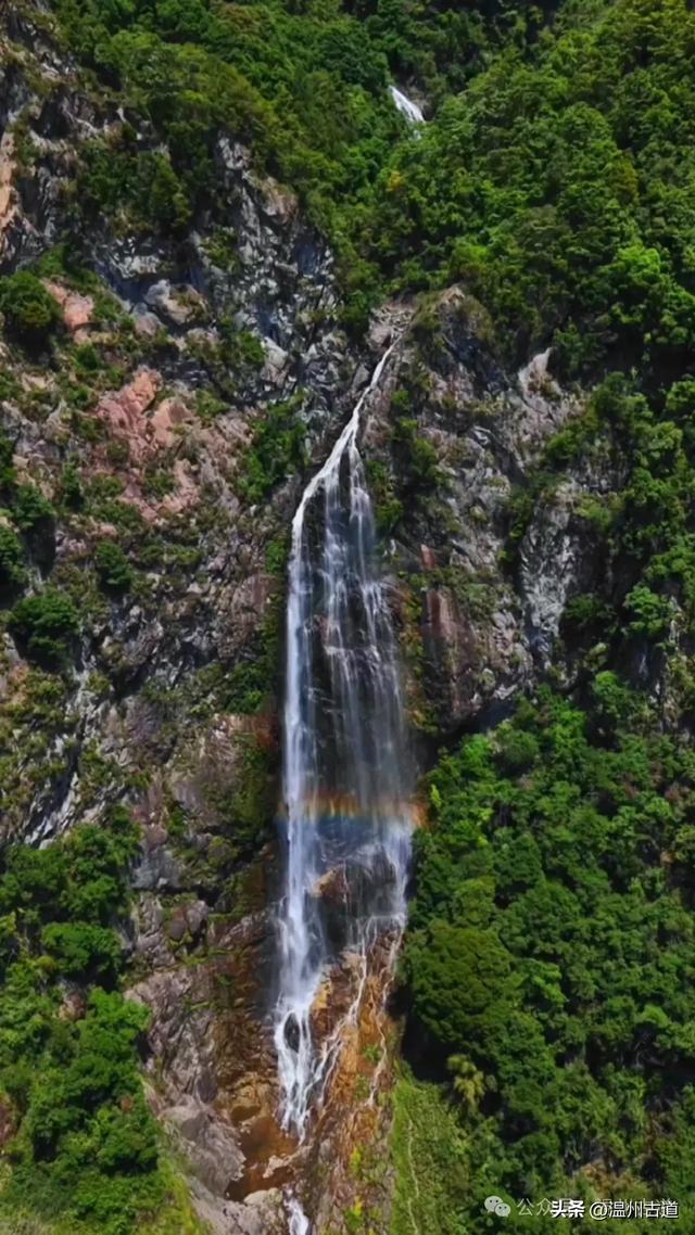 约吗？温州此处枫叶已渐红，这周末将进入赏红叶佳期！