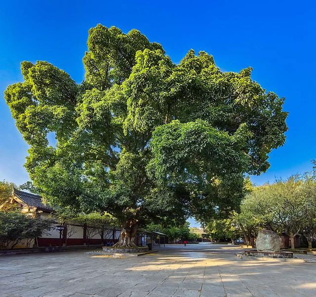 2024深秋四川行15 阆中古城3川北道署、四川贡院