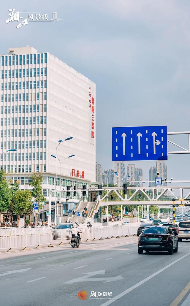 这样的桐梓坡，你一定没见过！