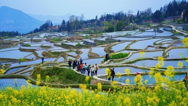 世界遗产地春日限定! 梯田水满繁花盛，每一帧都是壁纸