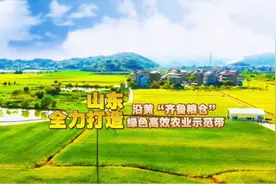 落实黄河重大国家战略，山东全力打造沿黄“齐鲁粮仓”和绿色高效农业示范带#黄河流域生态保护和高质量发展图片