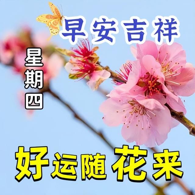 早安暖心短句，早上好祝福语吉祥话，健康天天在，幸福天天来