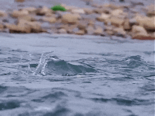 快来抱抱~ | Welcome to 疯狂·武夷山·动物城