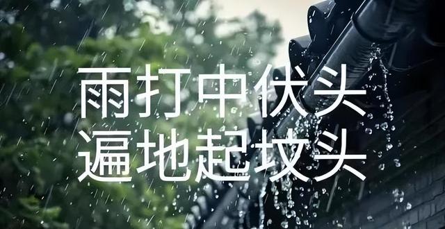 “雨打中伏头，遍地起坟头”，30号中伏下雨有何说法？