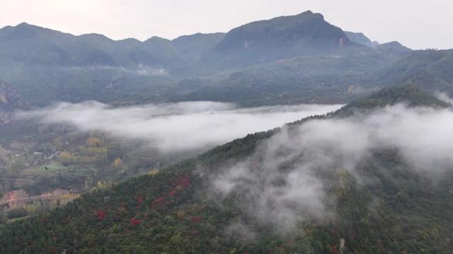 不到西坡，怎知秋色如许？