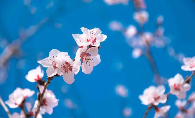 我把三十五岁的大龄剩女撵出了家门，等端正了态度再回来。