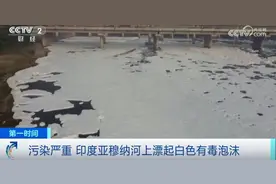 严重污染！印度首都河面漂浮大量白色有毒泡沫！图片