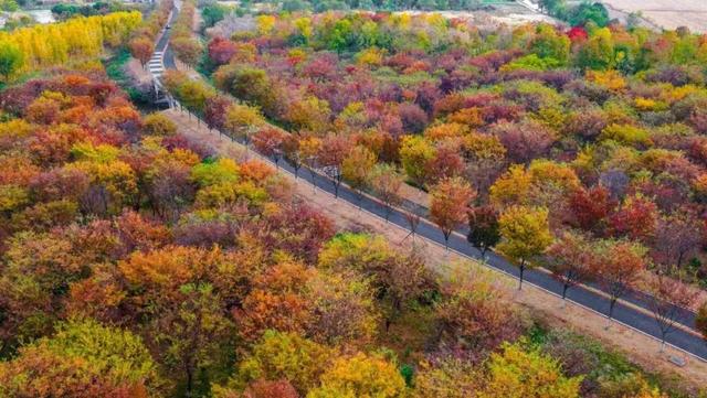 这样的张家港,我“All in”了!