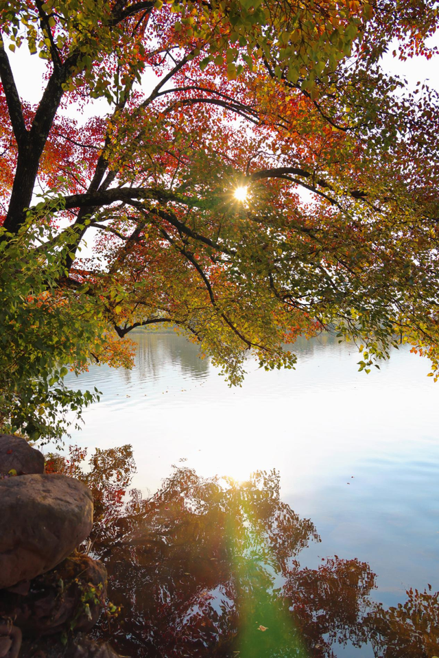 红了！越来越红了！