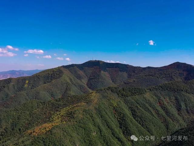 七里河“天然空调房”大公开！周末就去这些地方躲高温
