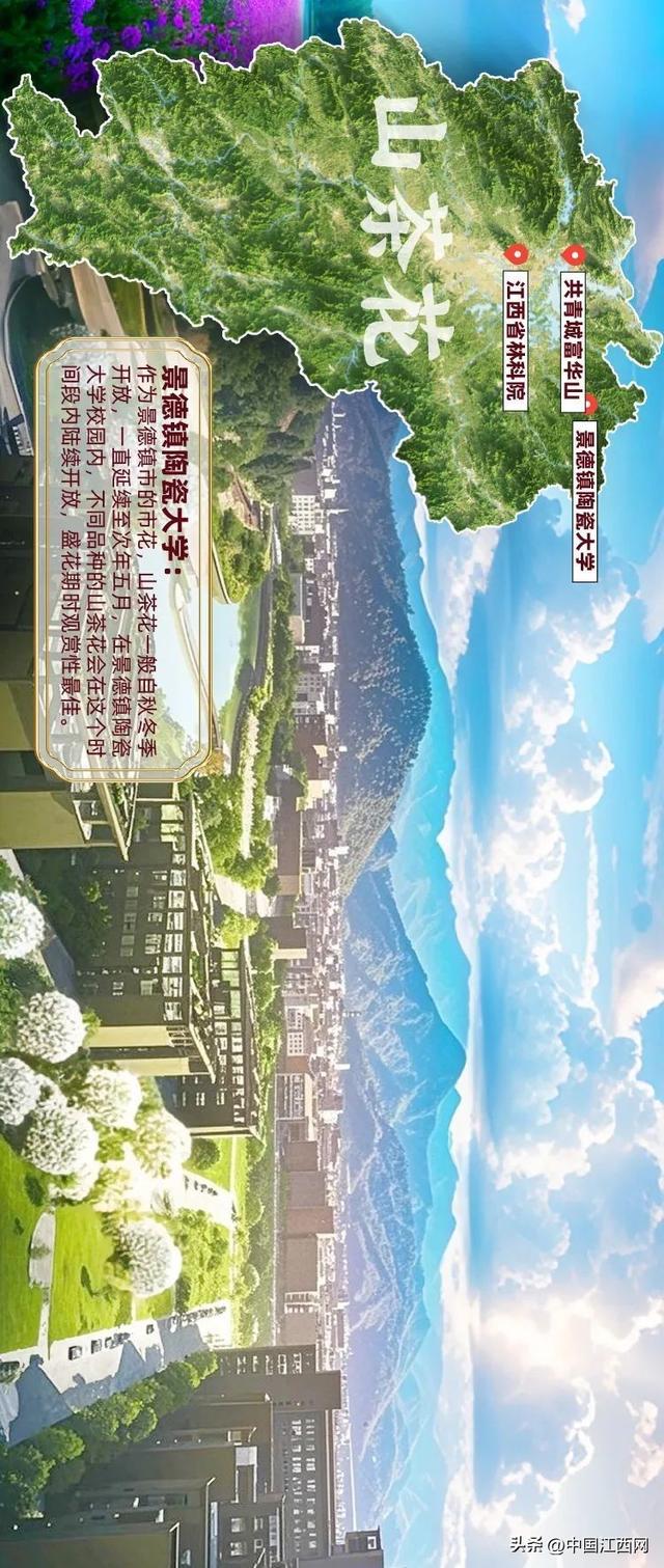 探春花丨江西春日赏花地图正式发布！