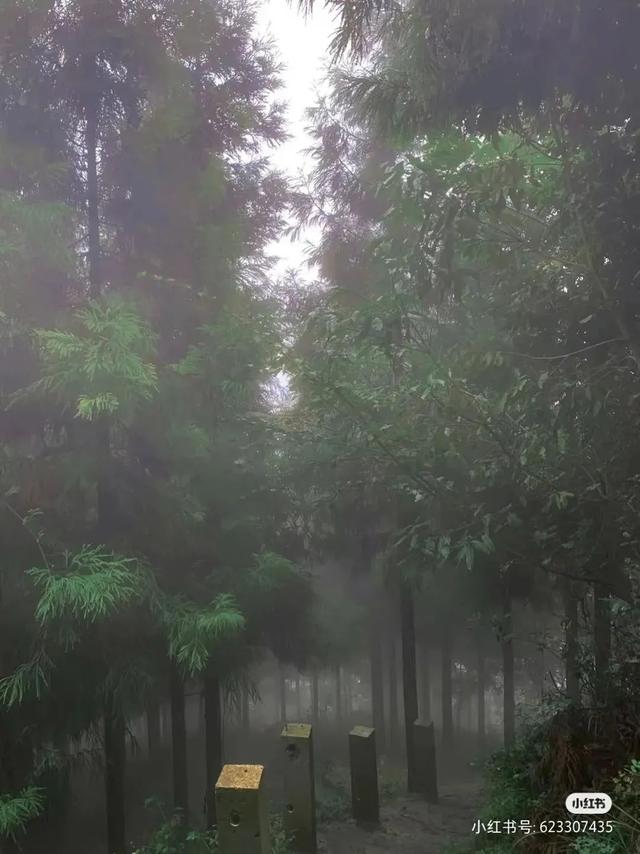 全部当天来回！精选10个王牌好耍地，奇观、异域、美食全都有，国庆不走远就看这篇！