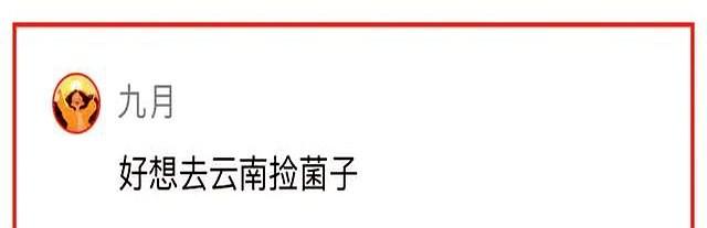 家乡的味道，舌尖记得、心也记得｜ 条友这一周