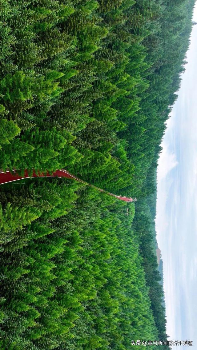 管涔山：华北大地上的山水传奇