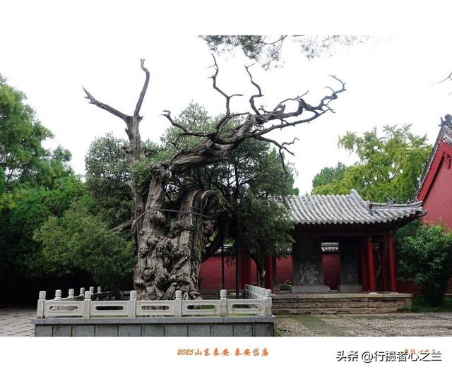 山东行游影记（307）—泰安岱庙（三）